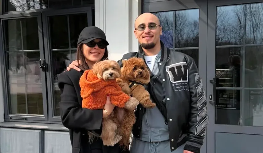 Erwachsener Maltipoo in Karamell mit kompaktem Körperbau und weichem Fell